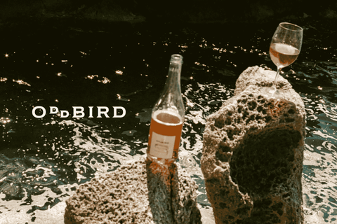 An open bottle of Oddbird sparkling orange non-alcoholic wine on a rock at the beach