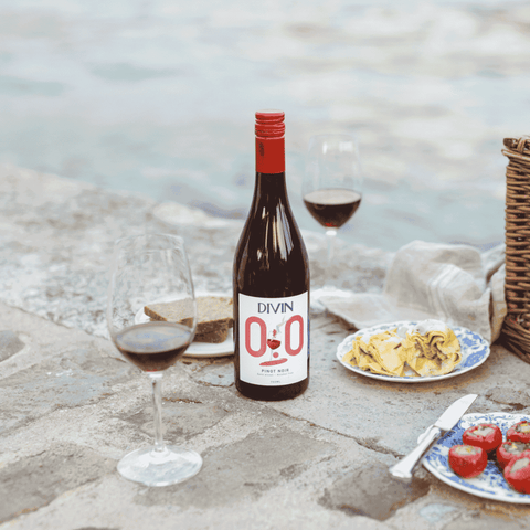DIVIN Pinot Noir | Alcohol-Free Red Wine - now available in Calgary at Santé Dry Bottle Shop!