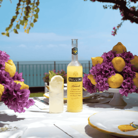 A bottle of Pallini Limonzero non-alcoholic Limoncello poured into a spritz cocktail