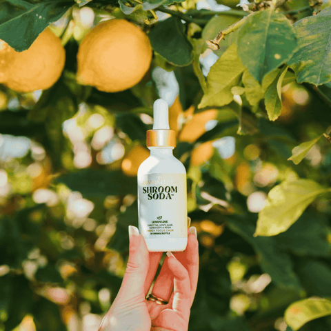 A bottle of Shroom Soda Lemon Lime Adaptogenic Mushroom Drops held by a lemon tree