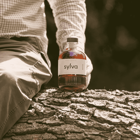 A bottle of Sylva ORCHARD non-alcoholic aged spirit displayed on a log