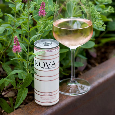 Benjamin Bridge Nova Zero | Non-Alcoholic Canadian Sparkling Wine