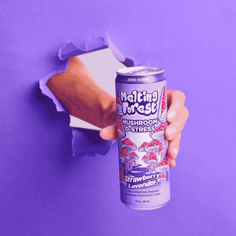 Hand holding a 'Melting Forest' mushroom d-stress can against a purple background