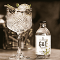 A bottle of Sir James 101 non-aloholic Gin and Tonic poured into a wine glas with botanicals