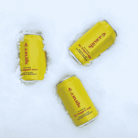Cans of Spruce Bev Co. Non-Alcoholic Dry Hopped Beer laid in snow.