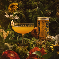 Wild Folk Bees Knees | Alcohol-free botanical cocktail 